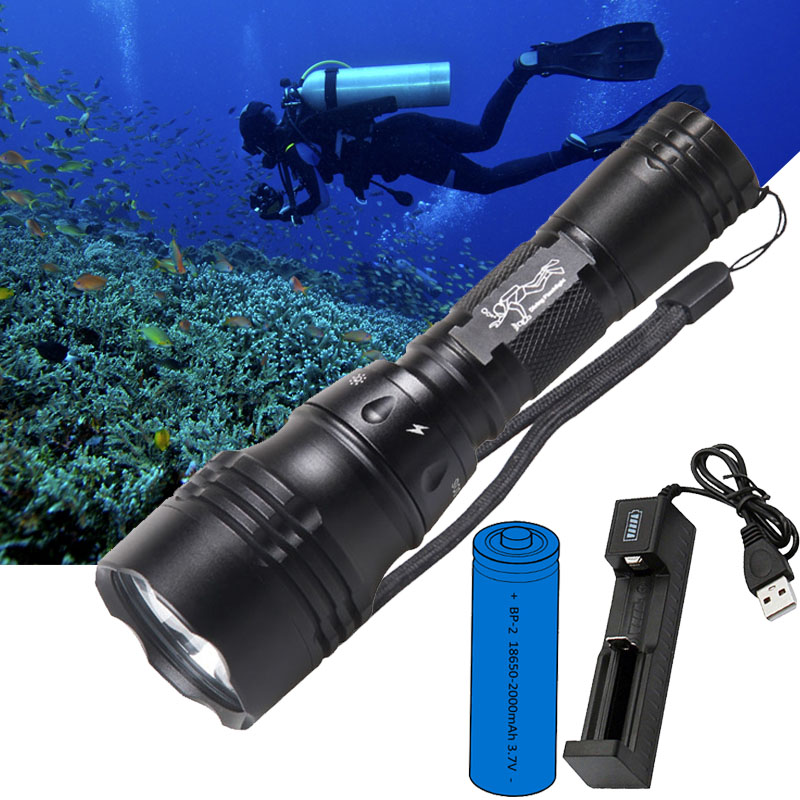 Diving Lamp Portable 10W T6 L2 - огляд і ціна Fish Finder Charger